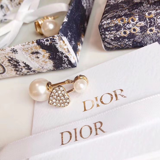 Dior Earrings CE5022
