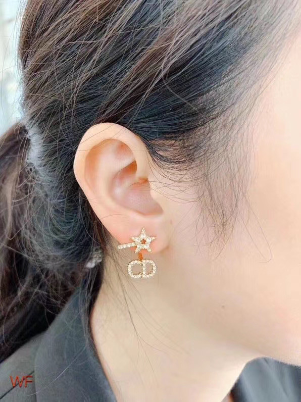 Dior Earrings CE5024