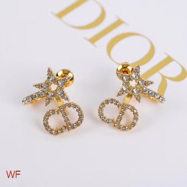 Dior Earrings CE5024