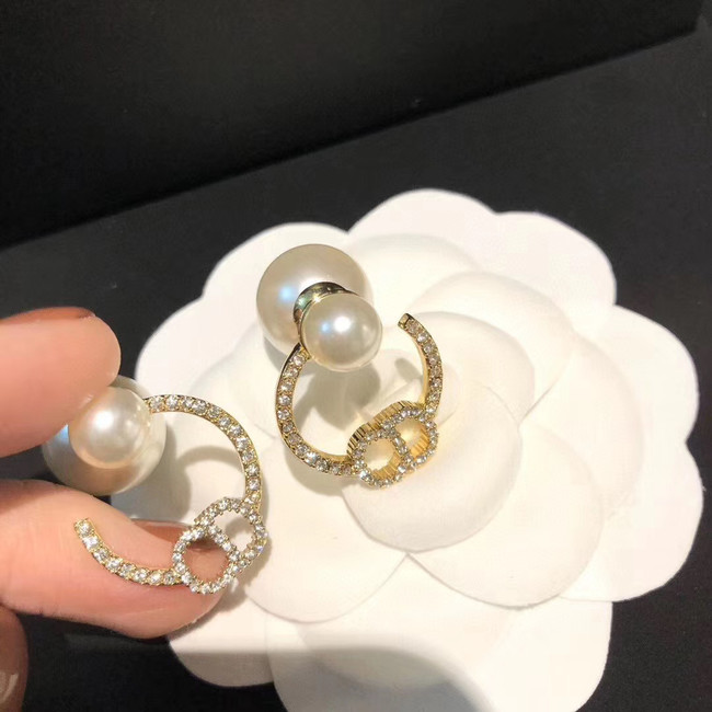 Dior Earrings CE5025