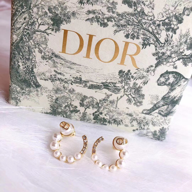 Dior Earrings CE5026