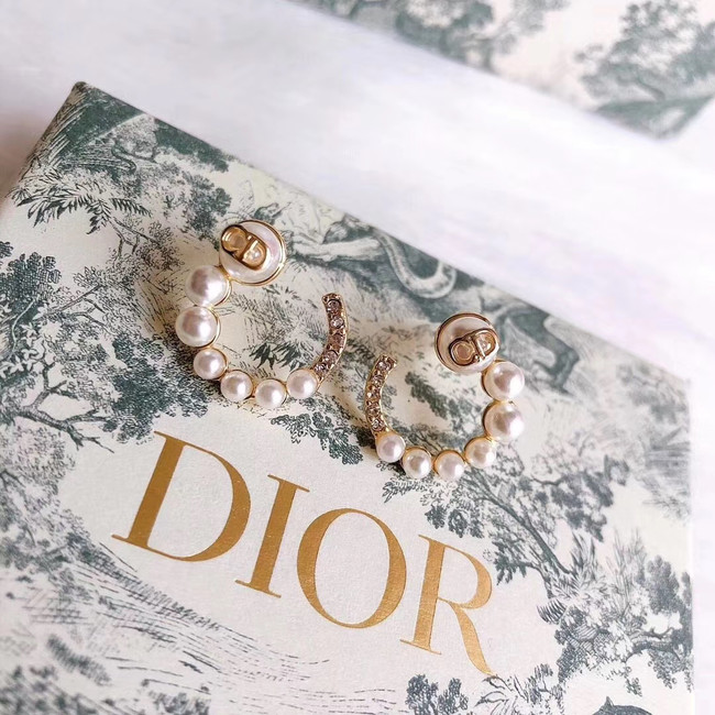 Dior Earrings CE5026