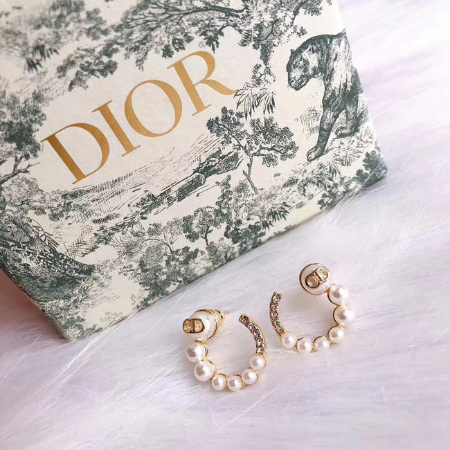 Dior Earrings CE5026