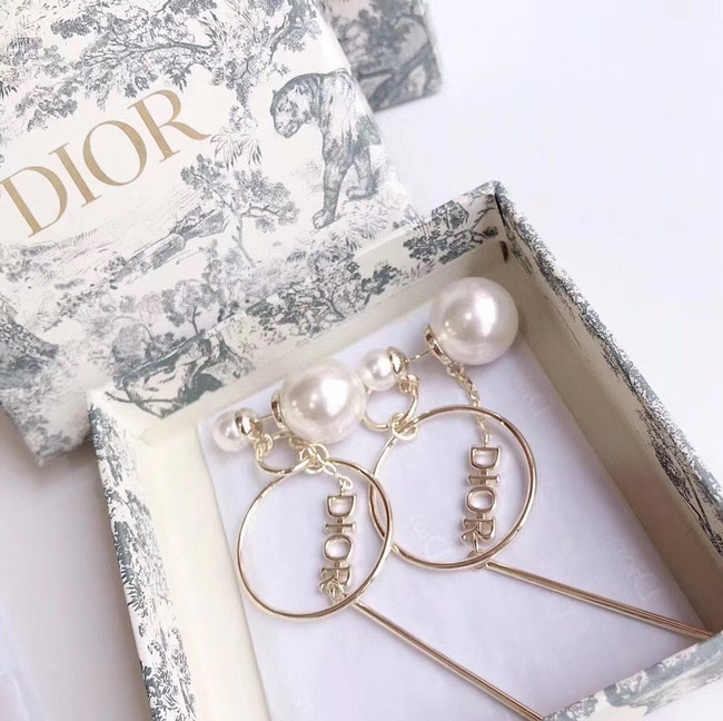 Dior Earrings CE5027