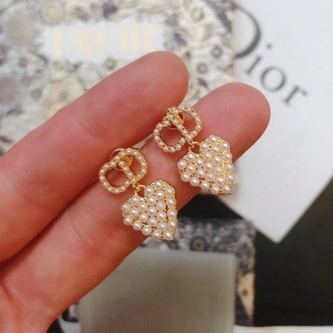 Dior Earrings CE5029