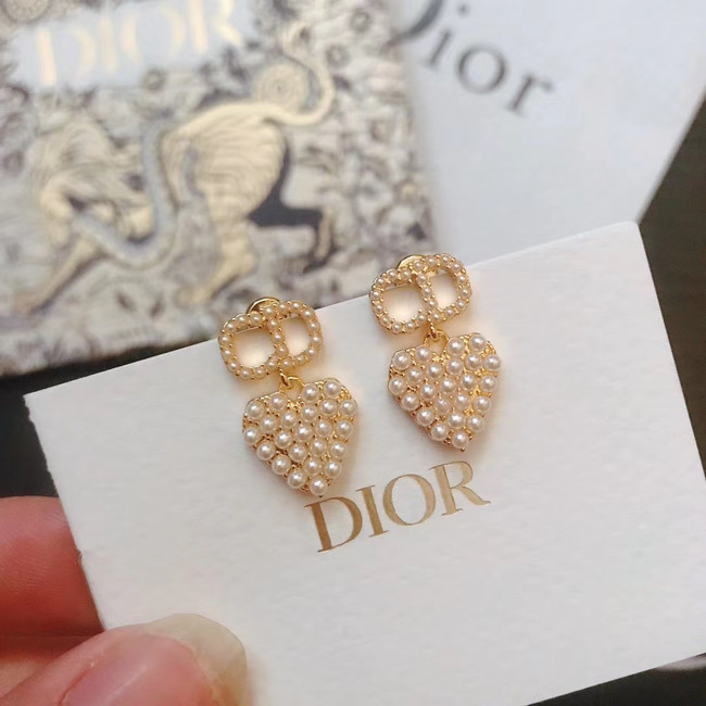 Dior Earrings CE5029