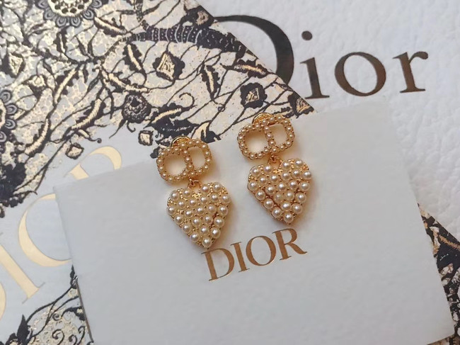 Dior Earrings CE5029