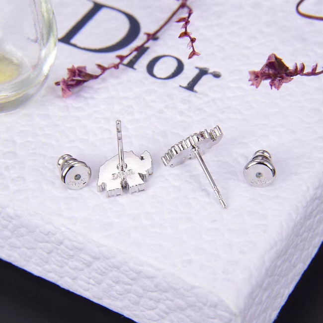 Dior Earrings CE5030