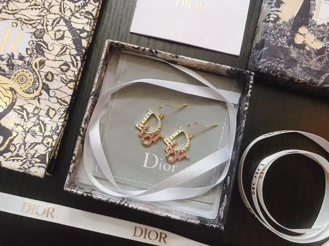 Dior Earrings CE5031