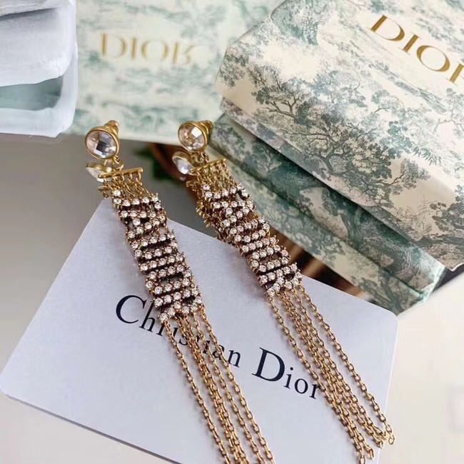 Dior Earrings CE5032