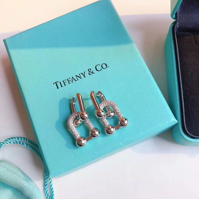 TIFFANY Earrings CE5060