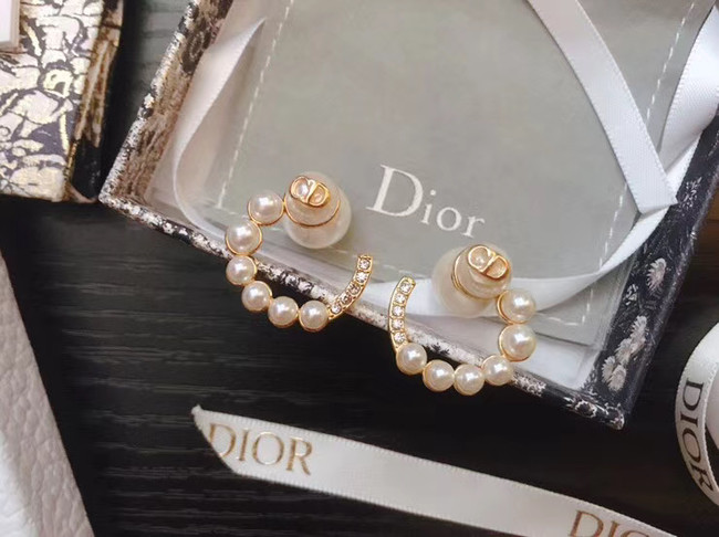 Dior Earrings CE5070
