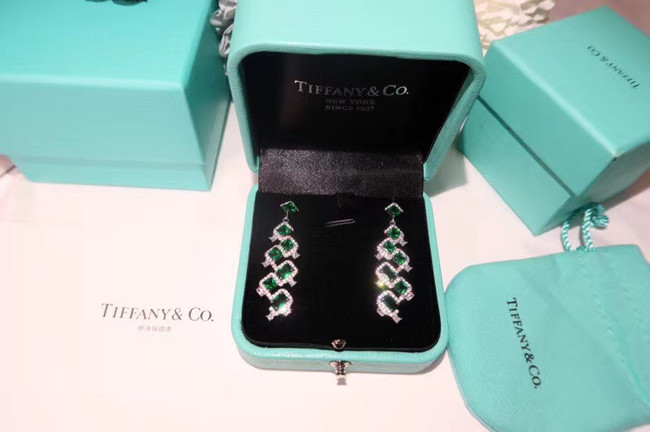 TIFFANY Earrings CE5083