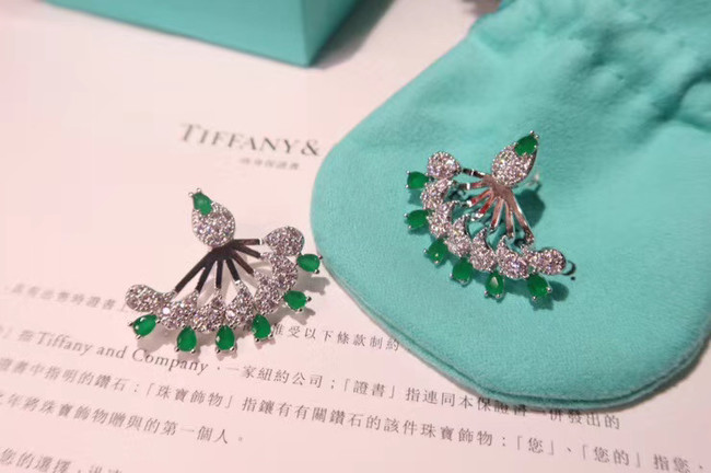 TIFFANY Earrings CE5084