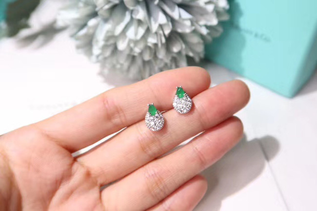 TIFFANY Earrings CE5085