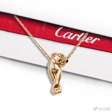Cartier Necklace CE5142
