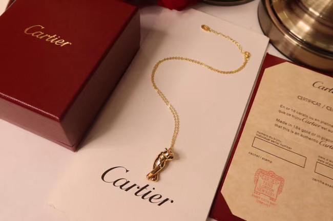 Cartier Necklace CE5142