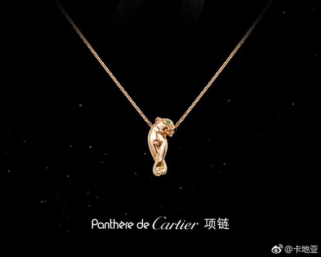 Cartier Necklace CE5142
