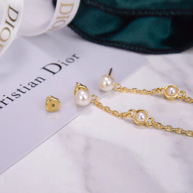 Dior Earrings CE5132