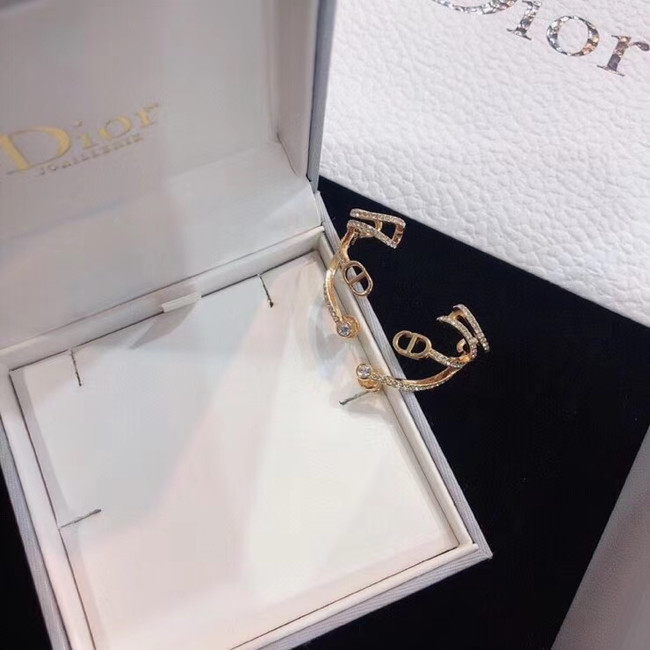 Dior Earrings CE5133