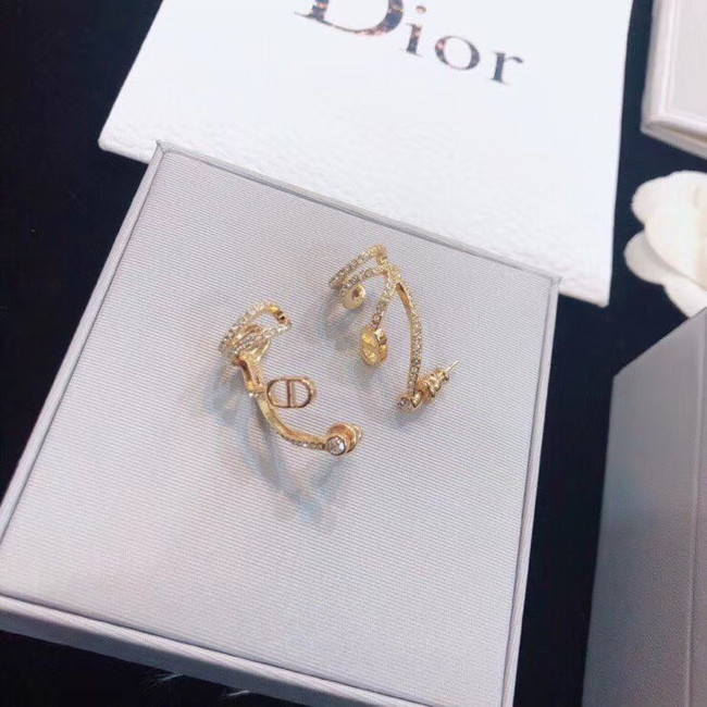 Dior Earrings CE5133