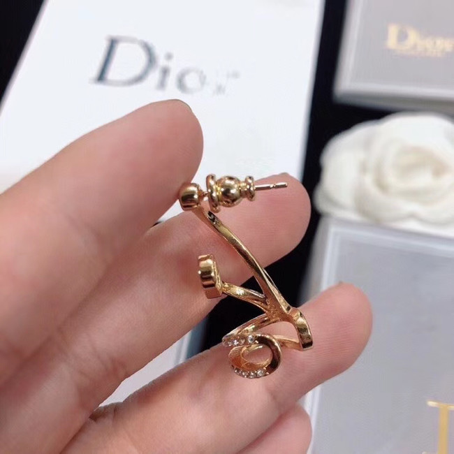 Dior Earrings CE5133