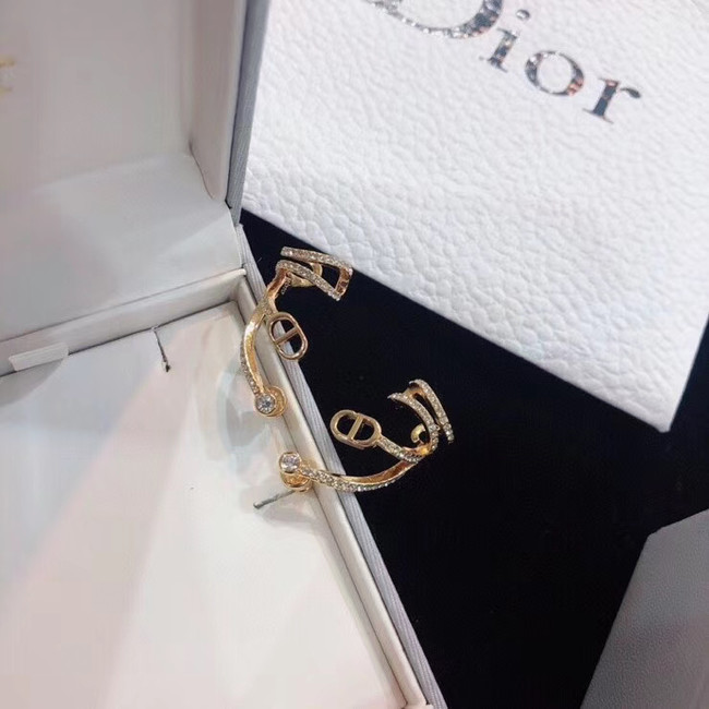 Dior Earrings CE5133