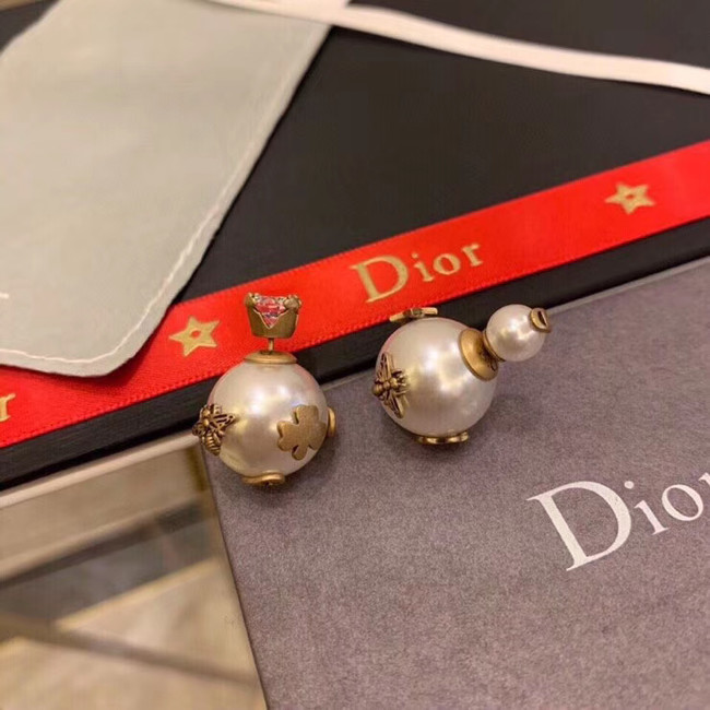 Dior Earrings CE5134