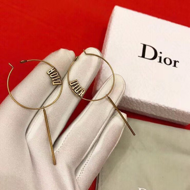 Dior Earrings CE5135