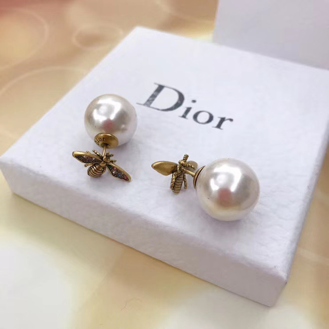 Dior Earrings CE5136