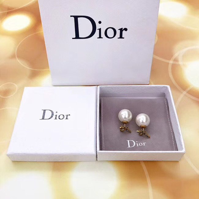 Dior Earrings CE5136