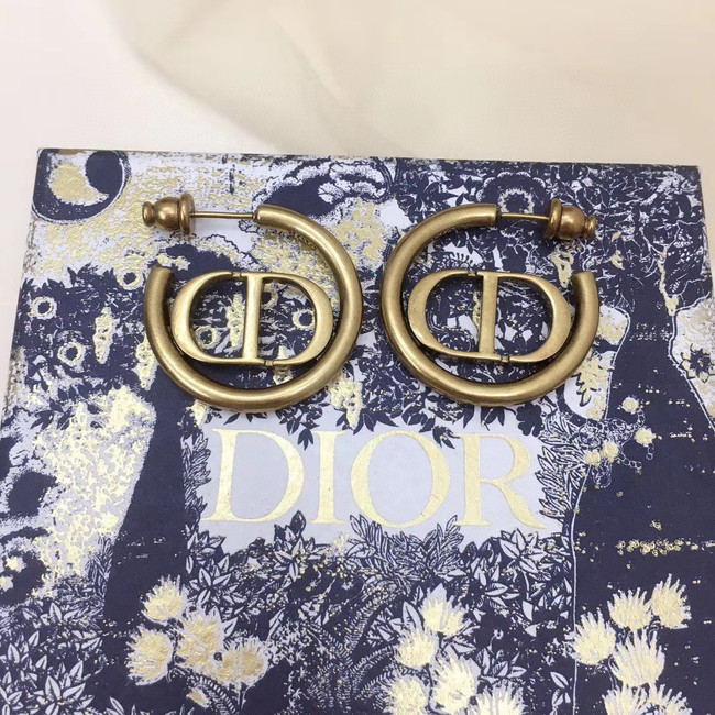 Dior Earrings CE5147