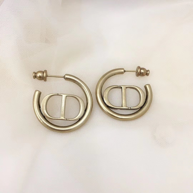 Dior Earrings CE5147