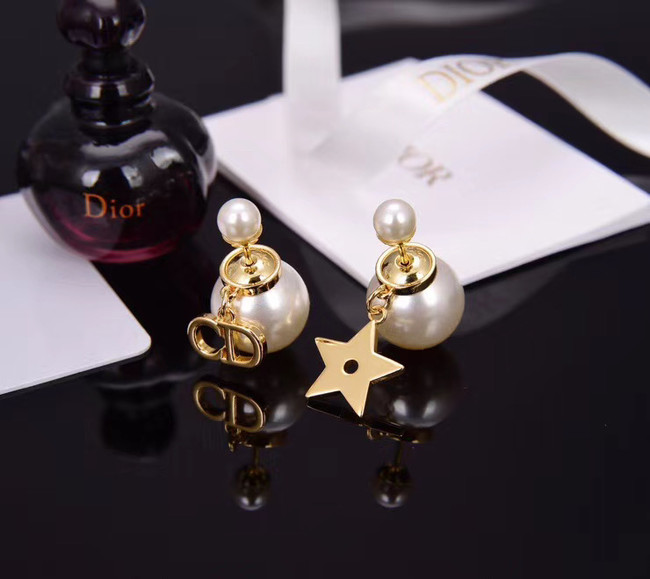 Dior Earrings CE5153
