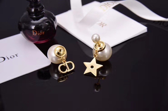 Dior Earrings CE5153