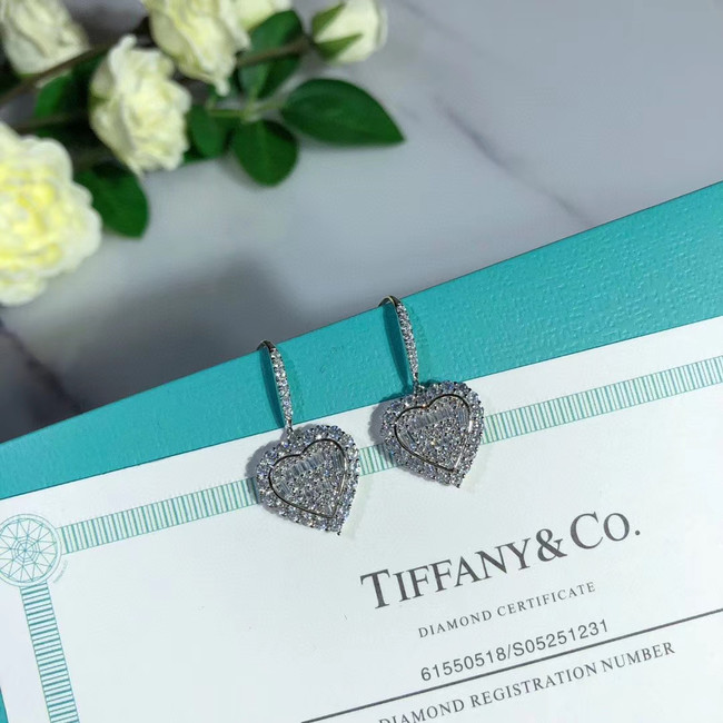 TIFFANY Earrings CE5150