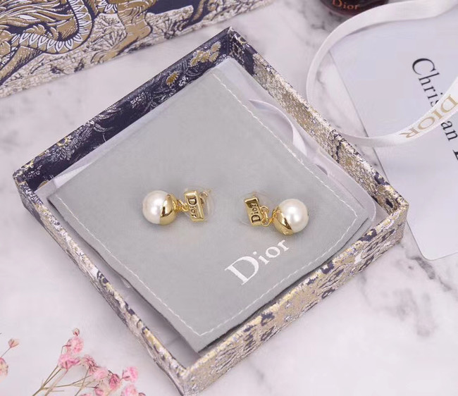 Dior Earrings CE5159