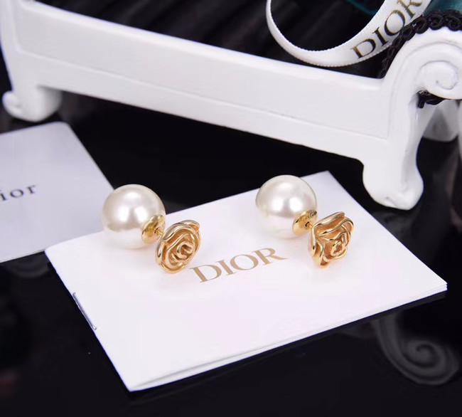 Dior Earrings CE5182