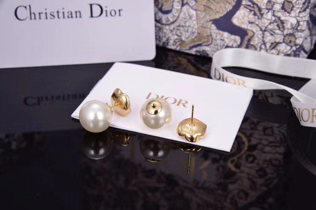 Dior Earrings CE5182