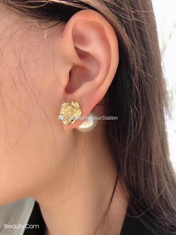 Dior Earrings CE5182