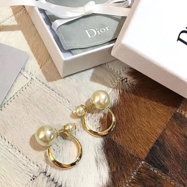 Dior Earrings CE5183