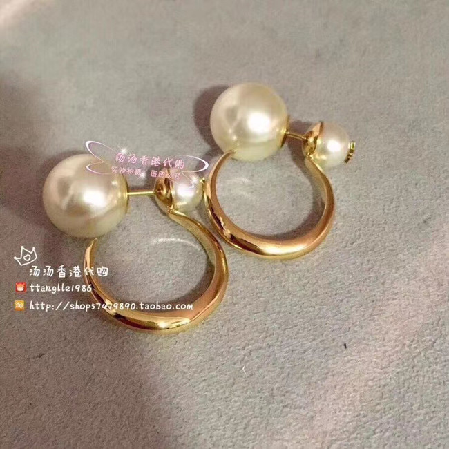 Dior Earrings CE5183