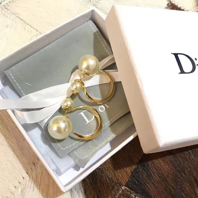 Dior Earrings CE5183