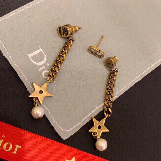 Dior Earrings CE5196