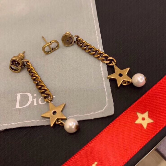 Dior Earrings CE5196