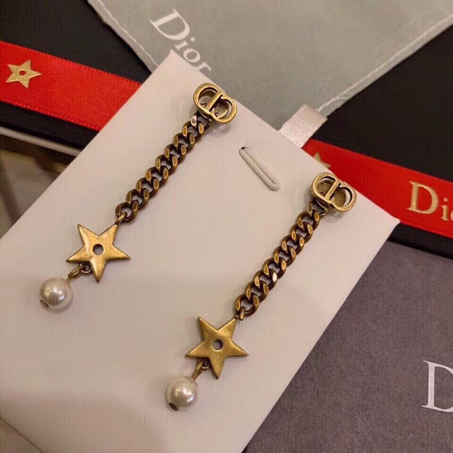 Dior Earrings CE5196