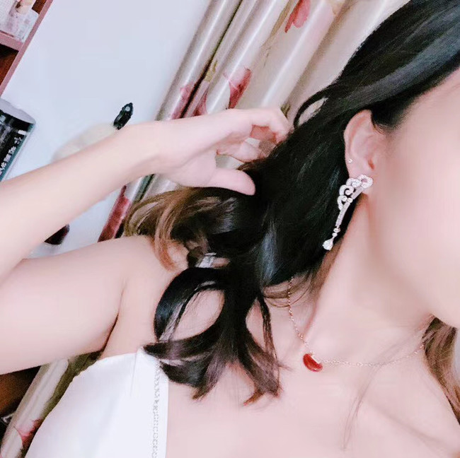 Cartier Earrings CE5234