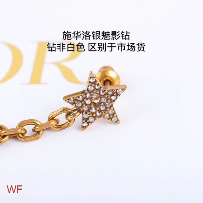 Dior Earrings CE5246