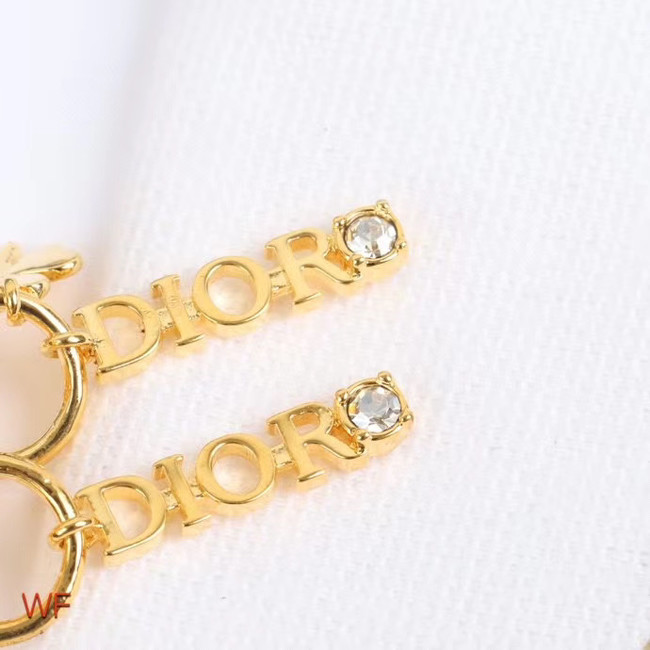 Dior Earrings CE5252