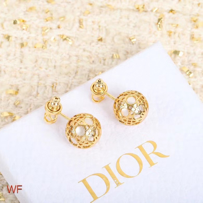 Dior Earrings CE5254